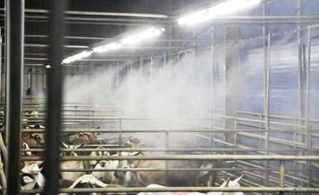 1692088680706856.png 1692088680706856.png